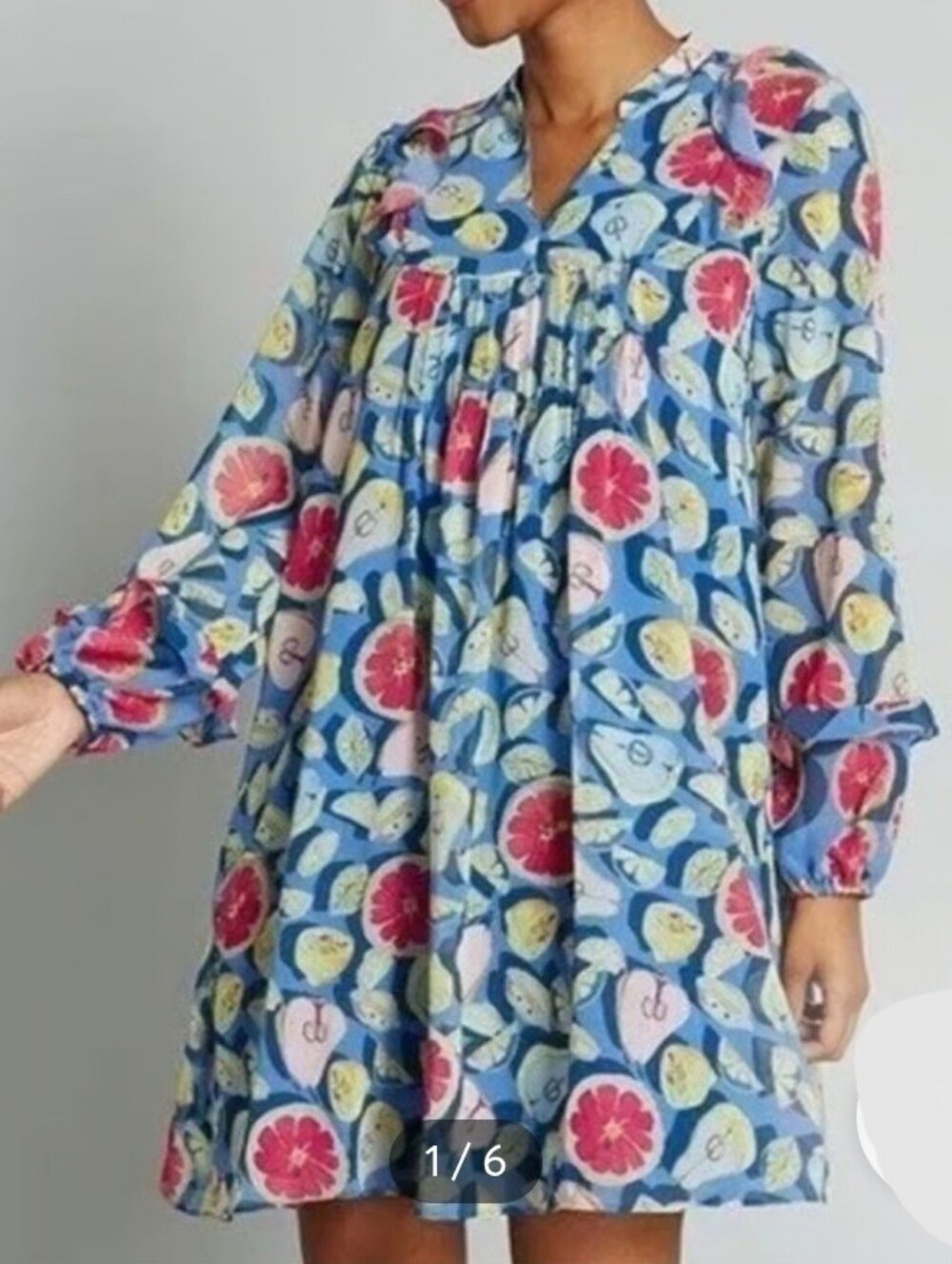 Anthropologie Hutch Fruit Print Mini